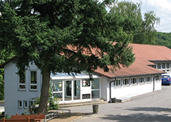 Das Bild zeigt die Grundschule Allfeld an einem sonnigen Tag. Das hell verputzte Gebäude mit rotem Satteldach hat einen einladenden, verglasten Eingangsbereich, der mit bunten Bastelarbeiten dekoriert ist. Im linken Vordergrund steht ein großer, dichter Nadelbaum, der Schatten auf den asphaltierten Schulhof und einige Holzbänke wirft. Umgeben ist die Anlage von viel Grün und hohen Laubbäumen im Hintergrund.